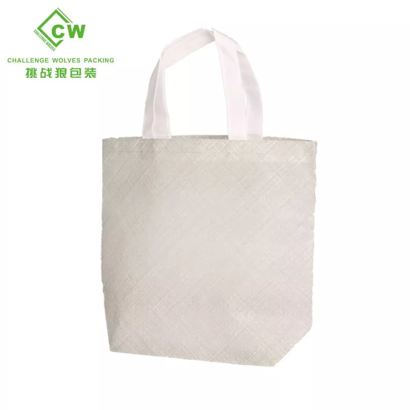 Non Woven Shopping Bag